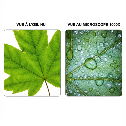 Kids Microscope 1000x Magnifier Microscope 200 Megapixels With LED Photo Video Function Educational Toys Science For Children